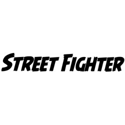 Street Fighter L 3110