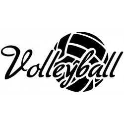 Volleyball L 3162