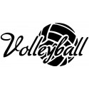 Volleyball L 3162