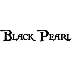 Black Pearl - Fluch der Karibik L 3279