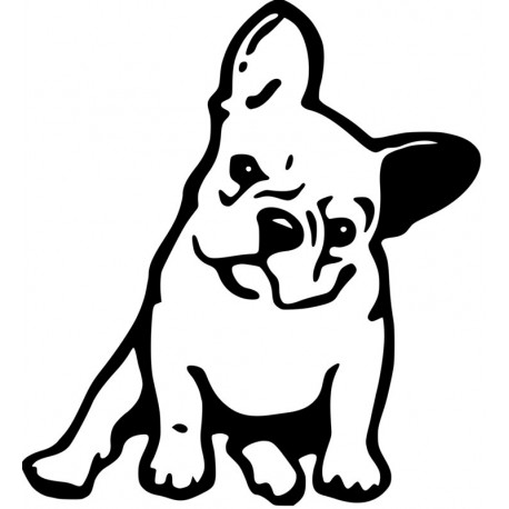 Französische Bulldogge sitzend L 3289