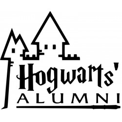 Hogwarts ALUMNI, Harry Potter L 3291
