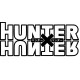 Hunter x Hunter Anime Logo L 3293